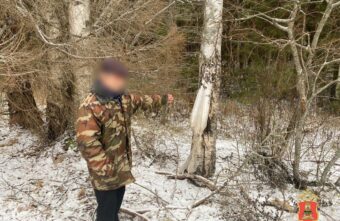 Житель Тверской области сознался в том, что незаконно расправился с лосем Житель Тверской области сознался в том, что незаконно расправился с лосем