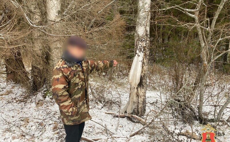 Житель Тверской области сознался в том, что незаконно расправился с лосем Житель Тверской области сознался в том, что незаконно расправился с лосем