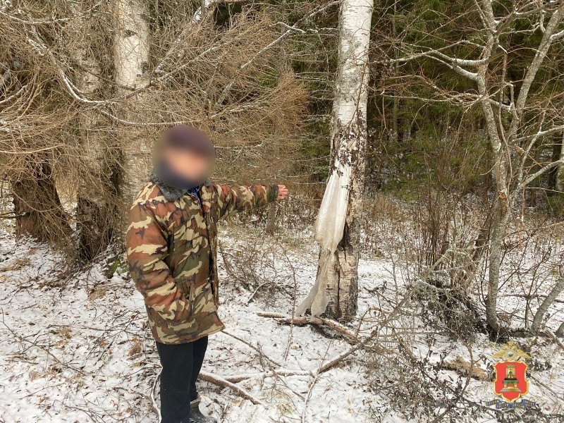 Житель Тверской области сознался в том, что незаконно расправился с лосем