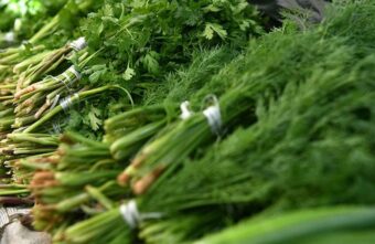 Врач рассказал, почему важно есть зелень в период простуд