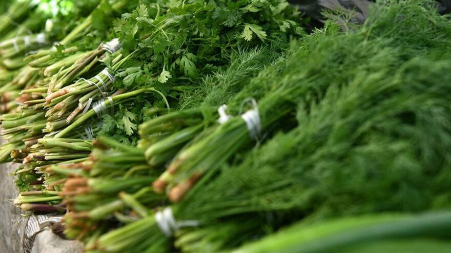 Врач рассказал, почему важно есть зелень в период простуд