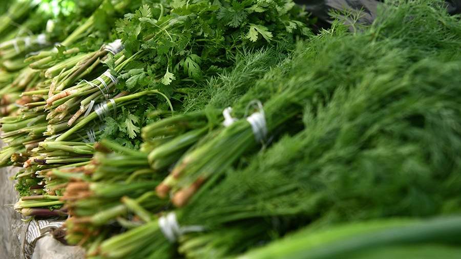 Врач рассказал, почему важно есть зелень в период простуд