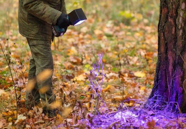 Человеческие кости нашли в лесу в Тверской области