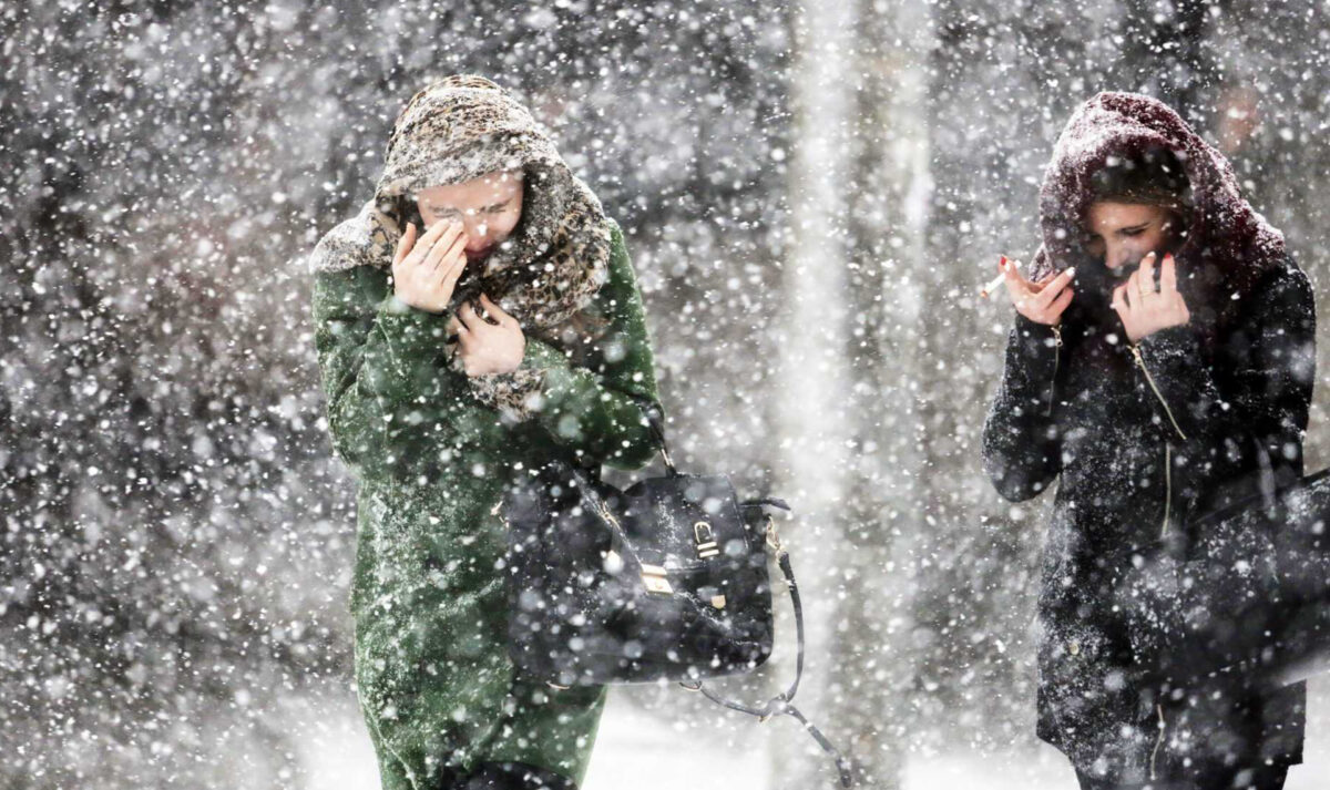 Тверскую область полностью завалит снегом