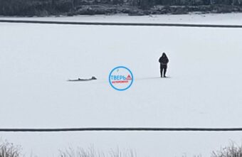 На лёд водоёмов Тверской области начали выходить нетерпеливые рыбаки На лёд водоёмов Тверской области начали выходить нетерпеливые рыбаки