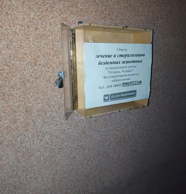 В Тверской области злоумышленники украли деньги на лечение бездомных животных В Тверской области злоумышленники украли деньги на лечение бездомных животных