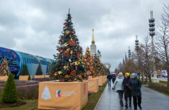 Новогодняя ель Тверской области украсила ВДНХ на международной выставке «Россия»