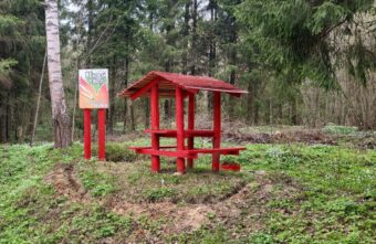 Больше 2 тысяч километров минерализованных полос создали в лесах Тверской области