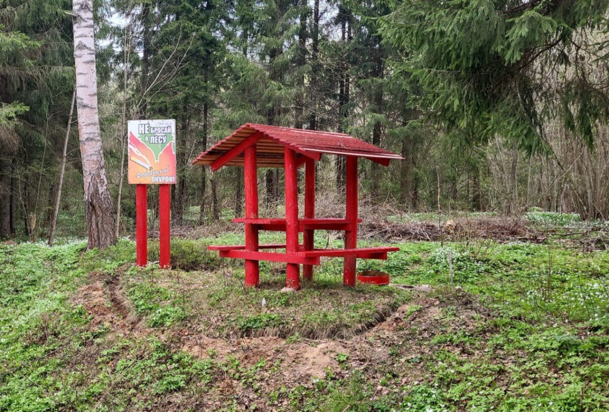 Больше 2 тысяч километров минерализованных полос создали в лесах Тверской  области | ТОП Тверь новости