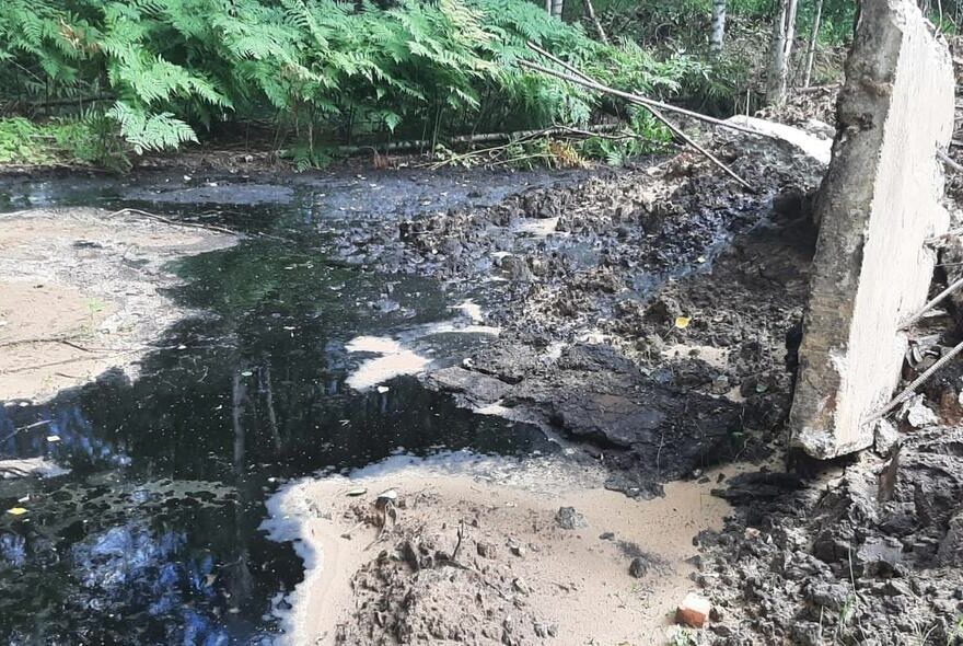 В Тверской области обнаружили грязное нефтяное «болото»