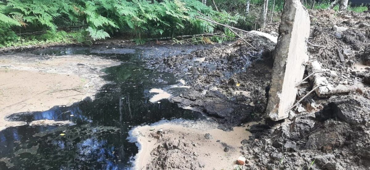 В Тверской области обнаружили грязное нефтяное «болото»