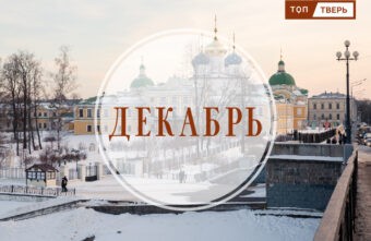 Слона не куплю: законы декабря, которые изменят жизнь в Тверской области