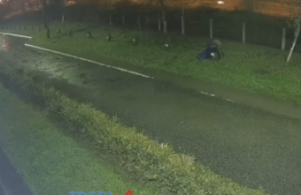 В Твери украли именные туи, высаженные в память об участниках войны и спецоперации