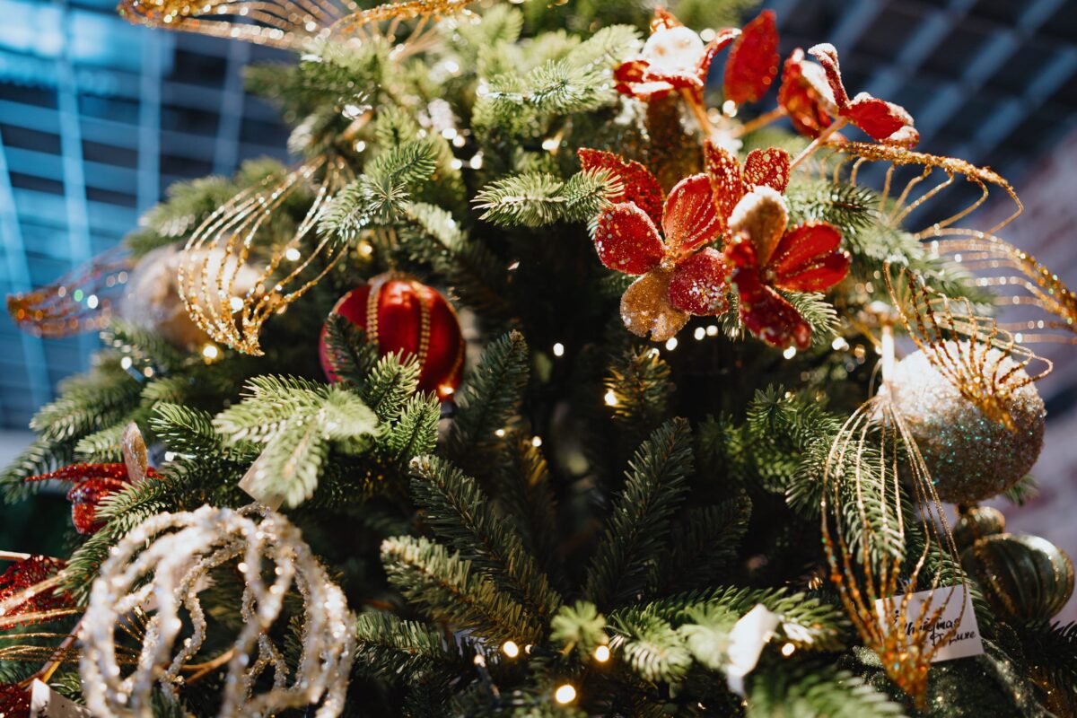 Больше половины жителей ЦФО назвали 2023 год удачным для себя