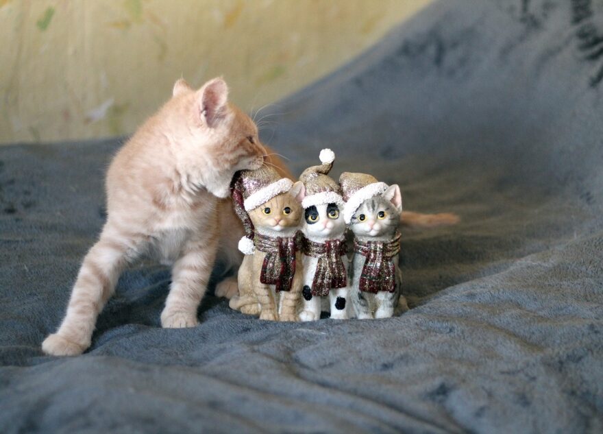 В Твери заработала волшебная почта Помпончика