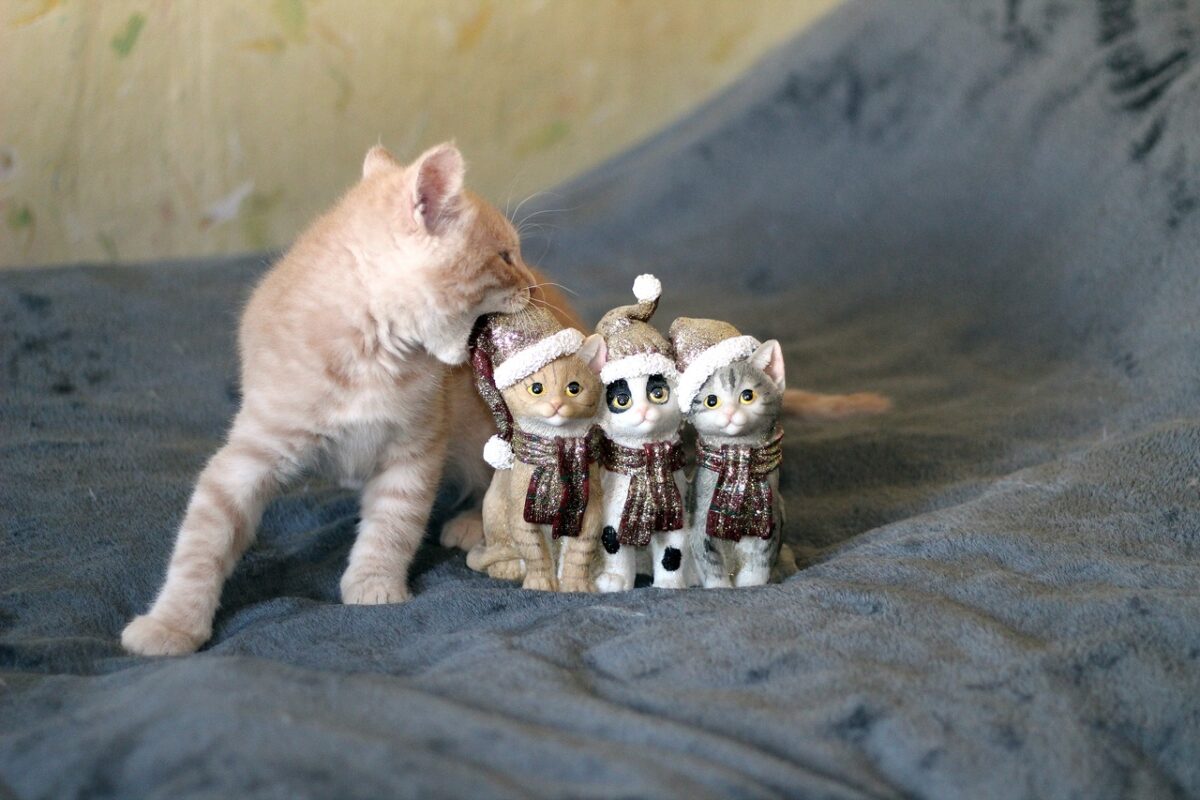 В Твери заработала волшебная почта Помпончика