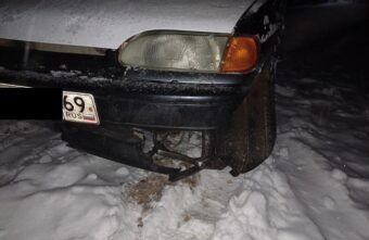 В Тверской области ищут хозяина собаки, которая попала под машину В Тверской области ищут хозяина собаки, которая попала под машину