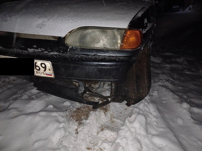 В Тверской области ищут хозяина собаки, которая попала под машину