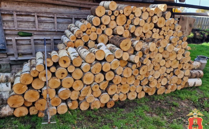 Житель Тверской области, незаконно спиливший 32 берёзы, предстанет перед судом Житель Тверской области, незаконно спиливший 32 берёзы, предстанет перед судом
