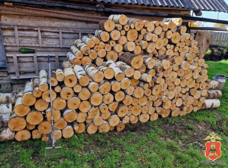 Житель Тверской области, незаконно спиливший 32 берёзы, предстанет перед судом