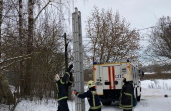 Тверитянка поблагодарила пожарных за спасение застрявшего на дереве кота Тверитянка поблагодарила пожарных за спасение застрявшего на дереве кота