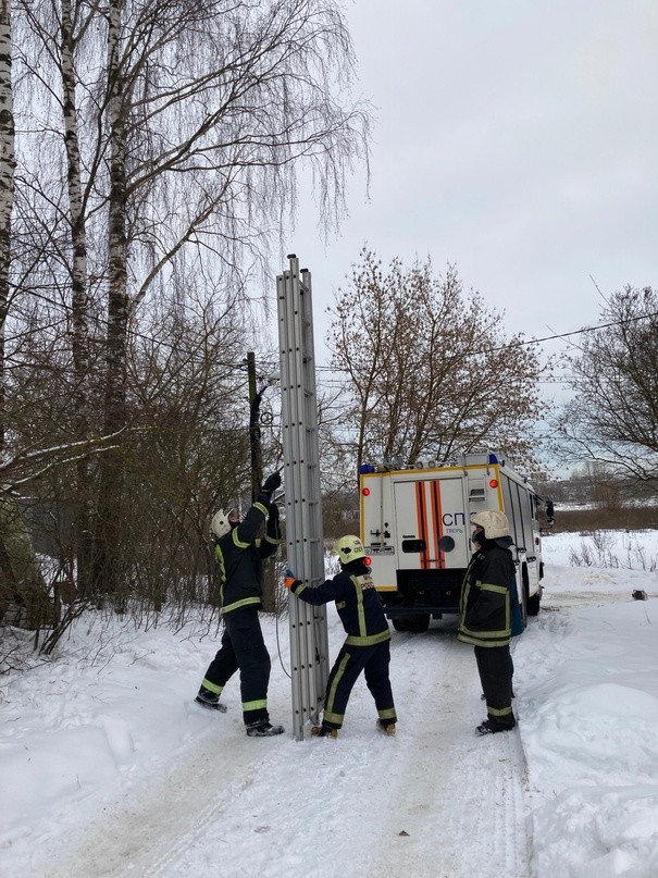 Тверитянка поблагодарила пожарных за спасение застрявшего на дереве кота