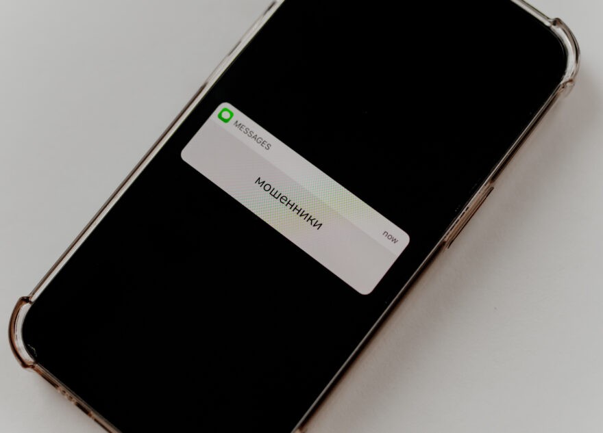 Жителя Тверской области обманули при покупке скота