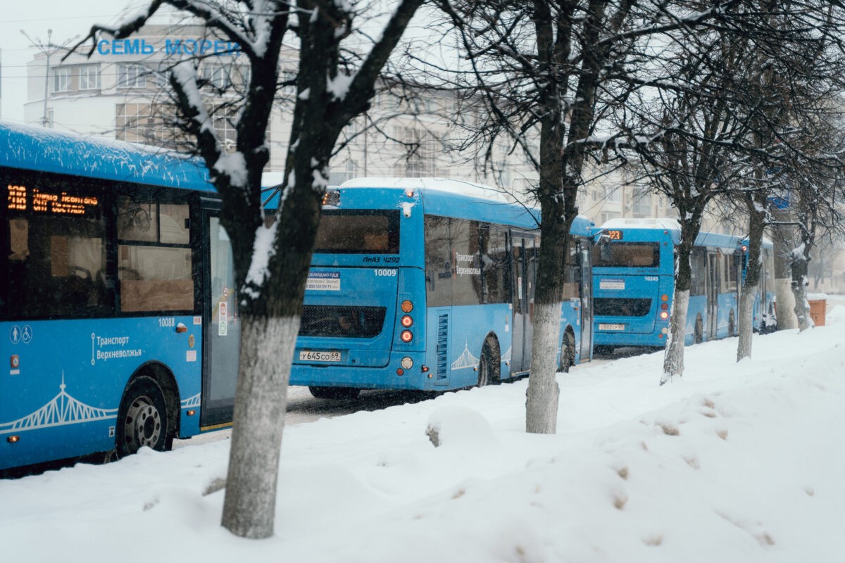 Будут проверять: как правильно перевозить животных в 