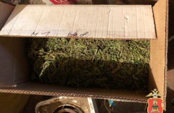 В Тверской области у мужчины нашли больше восьми килограммов наркотиков В Тверской области у мужчины нашли больше восьми килограммов наркотиков