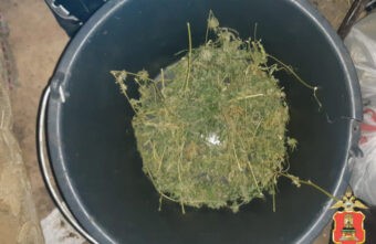 В квартире у тверитянина нашли больше полкилограмма марихуаны В квартире у тверитянина нашли больше полкилограмма марихуаны