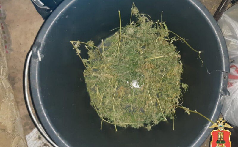 В квартире у тверитянина нашли больше полкилограмма марихуаны