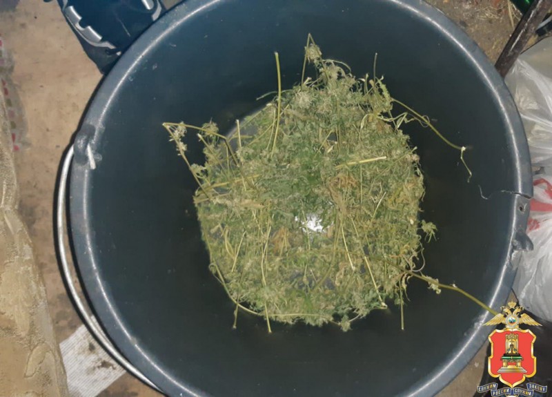 В квартире у тверитянина нашли больше полкилограмма марихуаны