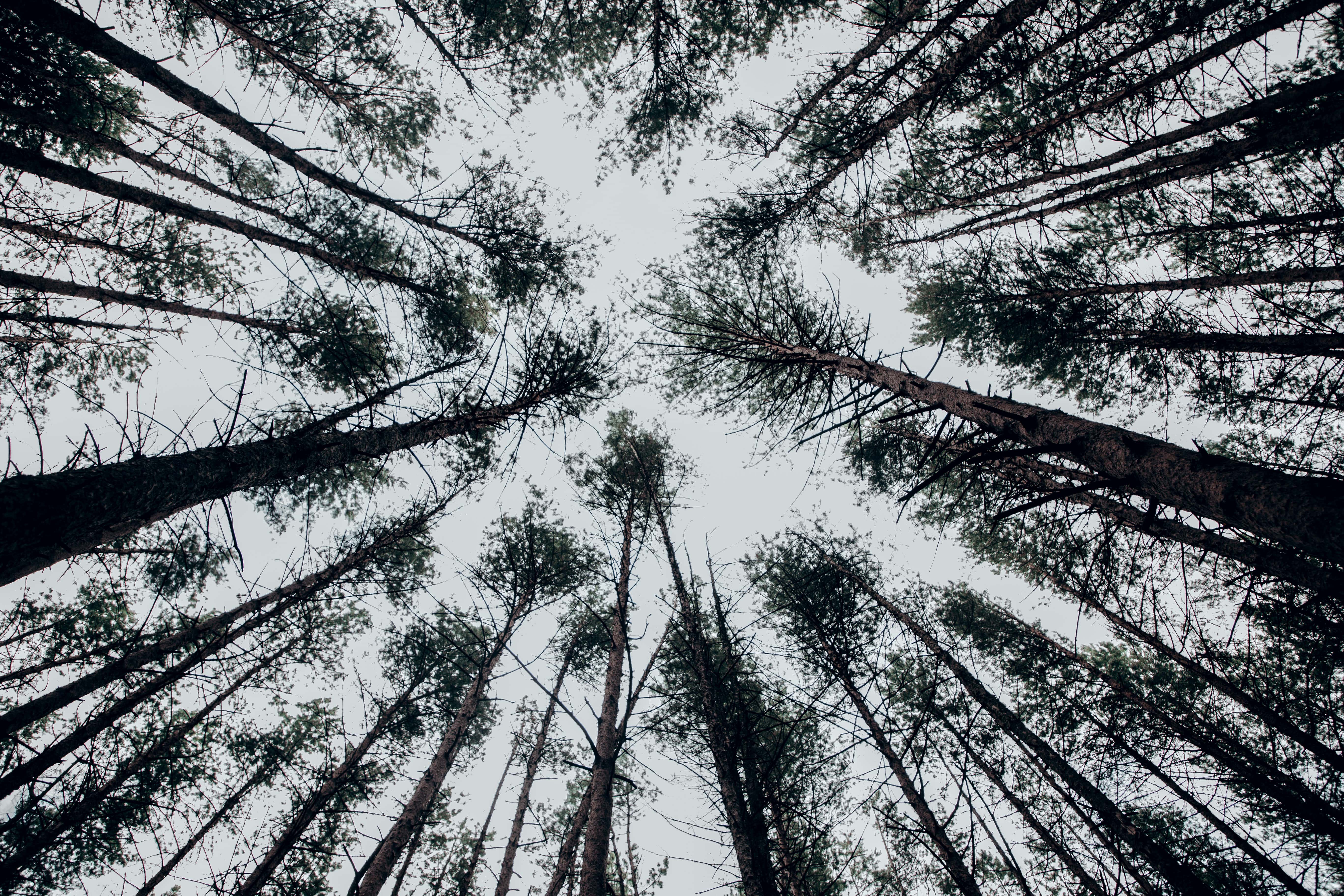 В Тверской области утвердили границы ещё одной особо охраняемой природной территории