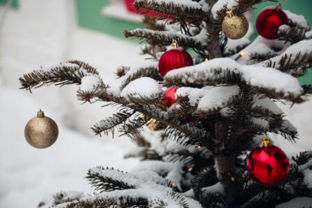 Новый год к нам мчится: как правильно выбрать елочные игрушки