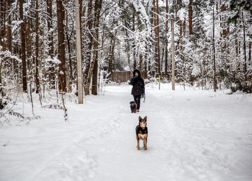 Сильные морозы не испортят жителям Тверской области выходные