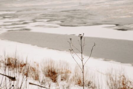 Из реки в Тверской области достали труп мужчины