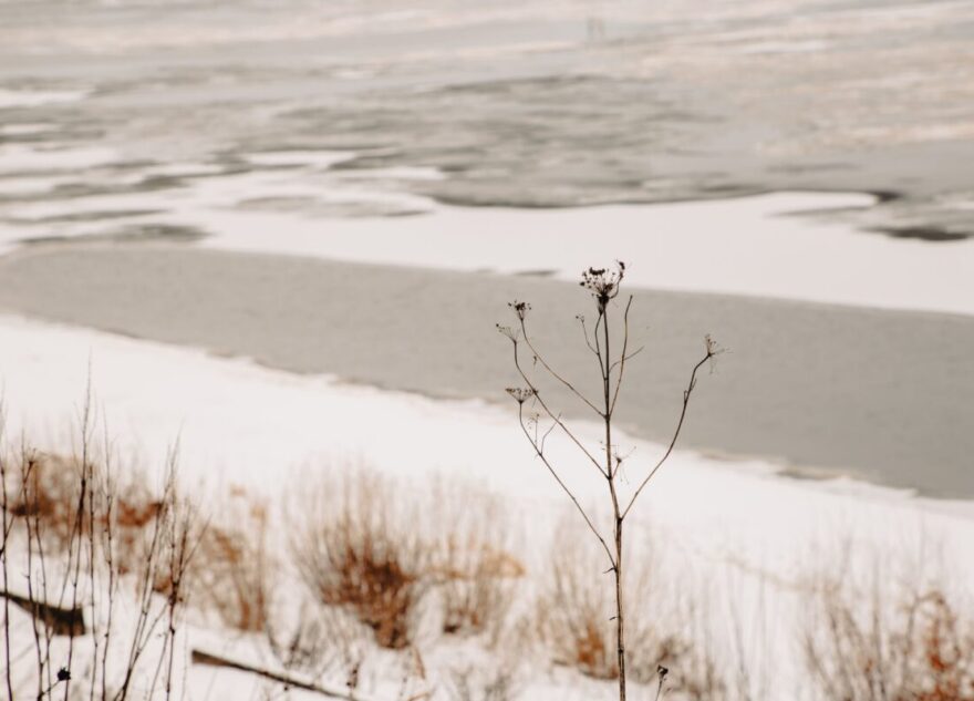 Из реки в Тверской области достали труп мужчины