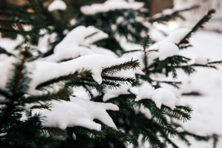 «Подарок» на Новый год: мороз в Тверской области не задержится надолго