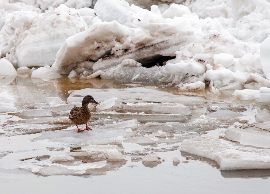 Спасатели предупреждают жителей Тверской области о зажоре