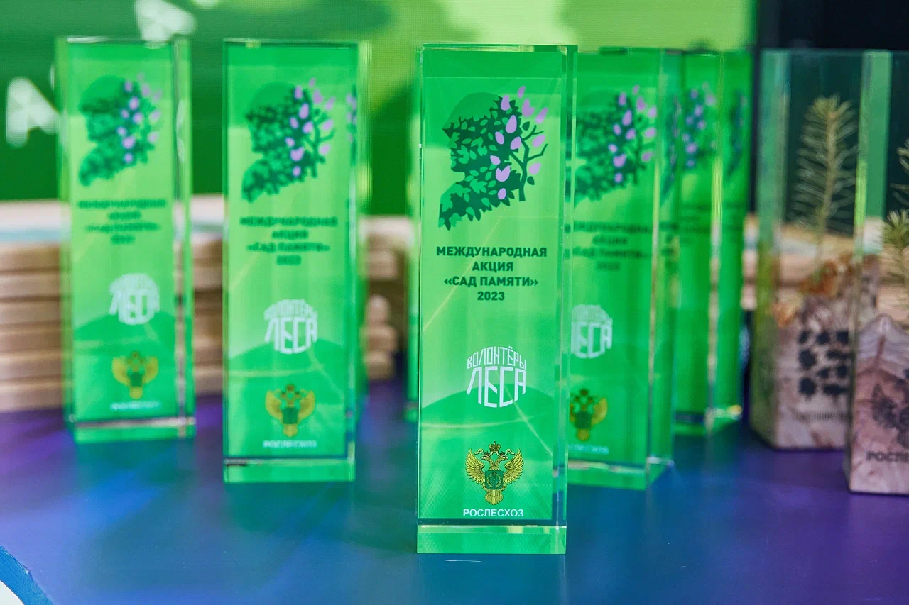 Тверская область заняла второе место по количеству высаженных деревьев
