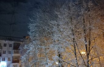 Жителям Тверской области советуют не выходить в новогоднюю ночь из дома