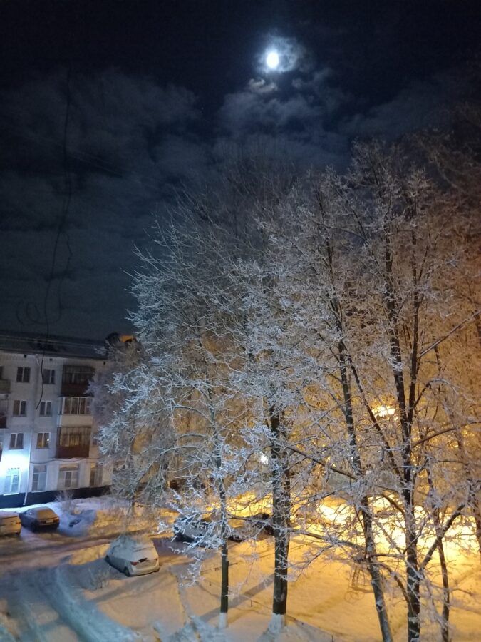 Жителям Тверской области советуют не выходить в новогоднюю ночь из дома