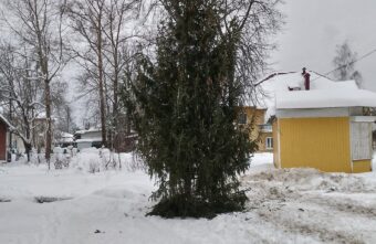 Жители Тверской области в шоке от новогодней елки