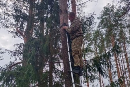 За выброс мусора в лесу жители Тверской области будут платить штрафы