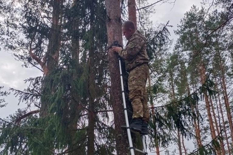 За выброс мусора в лесу жители Тверской области будут платить штрафы