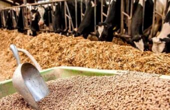 В Тверской области предприятия пищевой промышленности получат «Оборотный капитал»