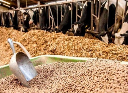 В Тверской области предприятия пищевой промышленности получат «Оборотный капитал»