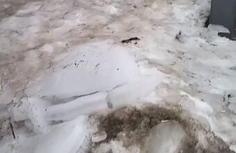 Жительница Твери пожаловалась на снежные горы и льдины на остановке Жительница Твери пожаловалась на снежные горы и льдины на остановке