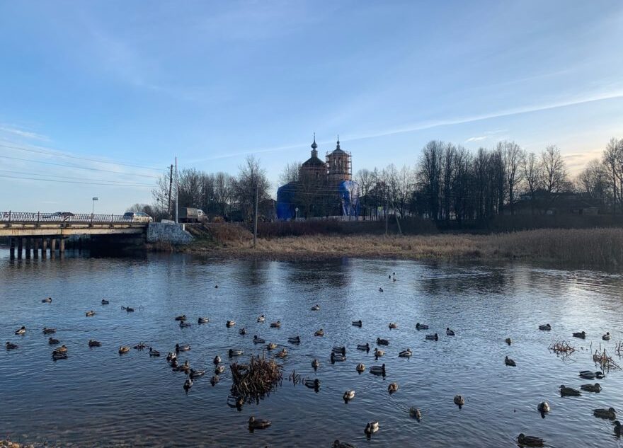 Торопчане знают способ быстро решить насущные вопросы