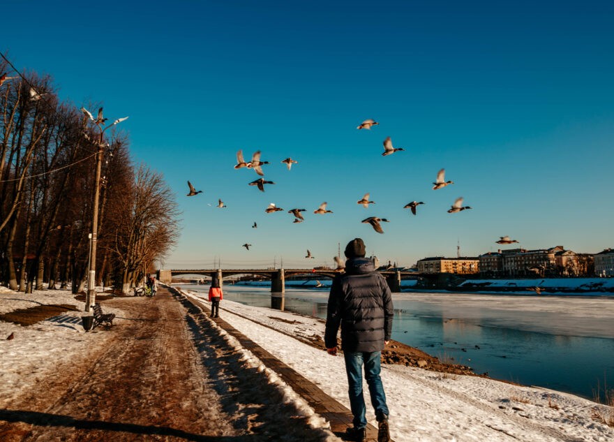 Весна в Тверской области будет ранней